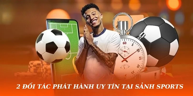 2 đối tác phát hành uy tín tại sảnh Sports BK8